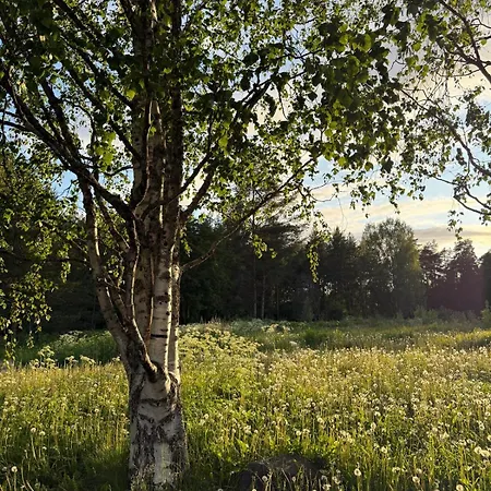 Henniina V Kotoisa - Free Parking & Easy Check-in