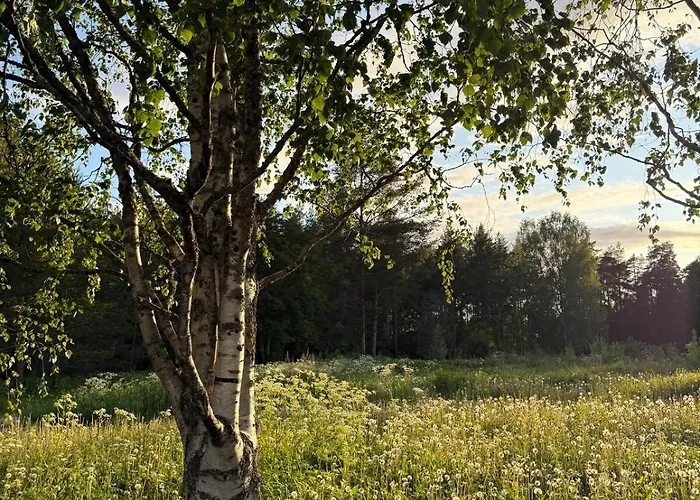 Henniina V Kotoisa - Free Parking & Easy Check-in